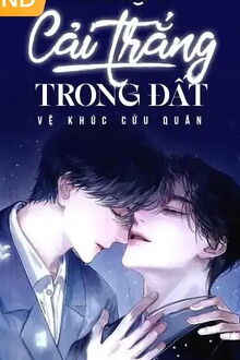 Cải Trắng Trong Đất